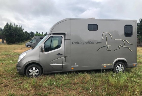 van transport chevaux occasion